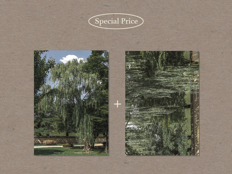 ninaroom ポスター|Nocturne A3 Poster