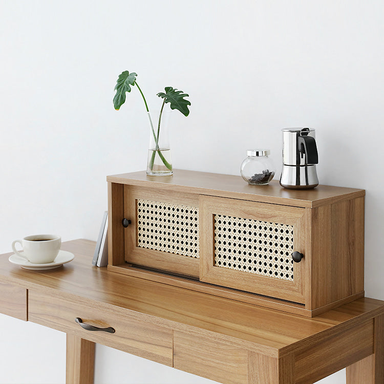 BENTAN ラタンミニ卓上収納|2ドア