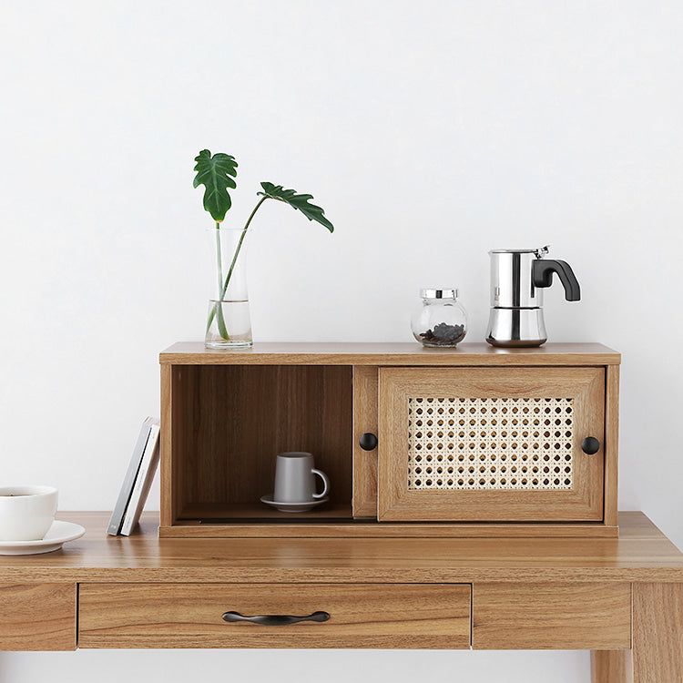 BENTAN ラタンミニ卓上収納|2ドア