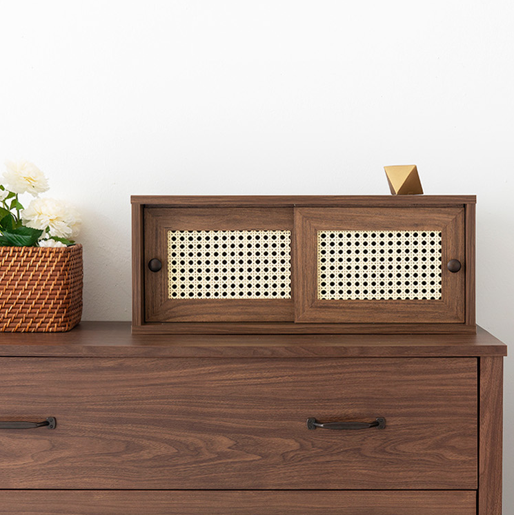 BENTAN ラタンミニ卓上収納|2ドア