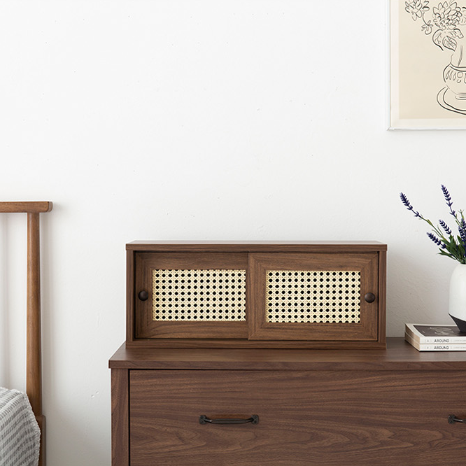 BENTAN ラタンミニ卓上収納|2ドア