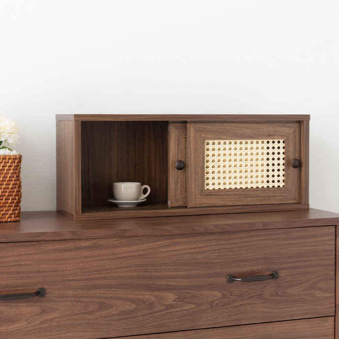 BENTAN ラタンミニ卓上収納|2ドア