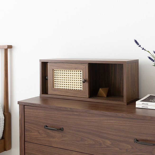 BENTAN ラタンミニ卓上収納|2ドア