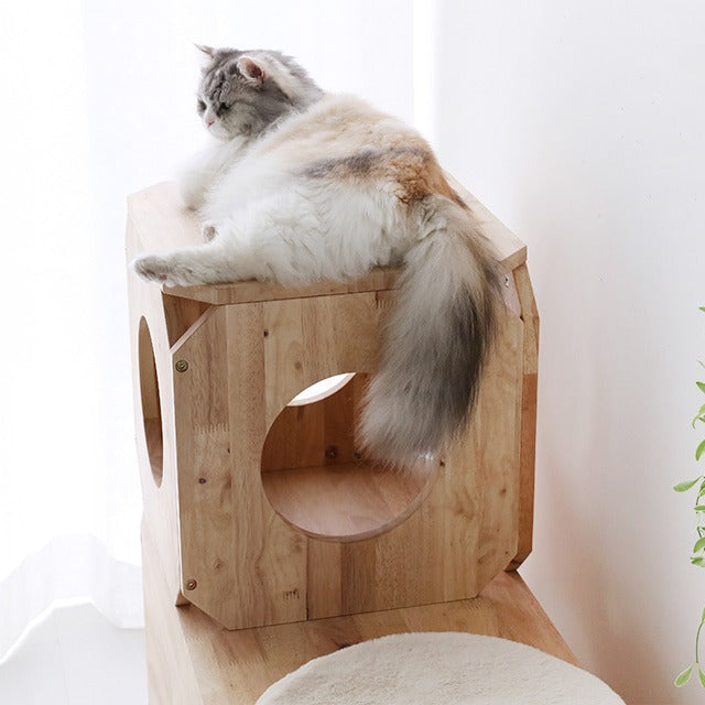 BENKU キャットトンネル・スツール