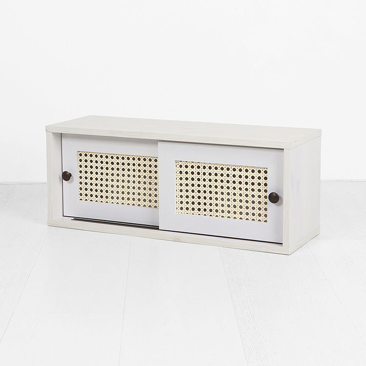 BENTAN ラタンミニ卓上収納|2ドア