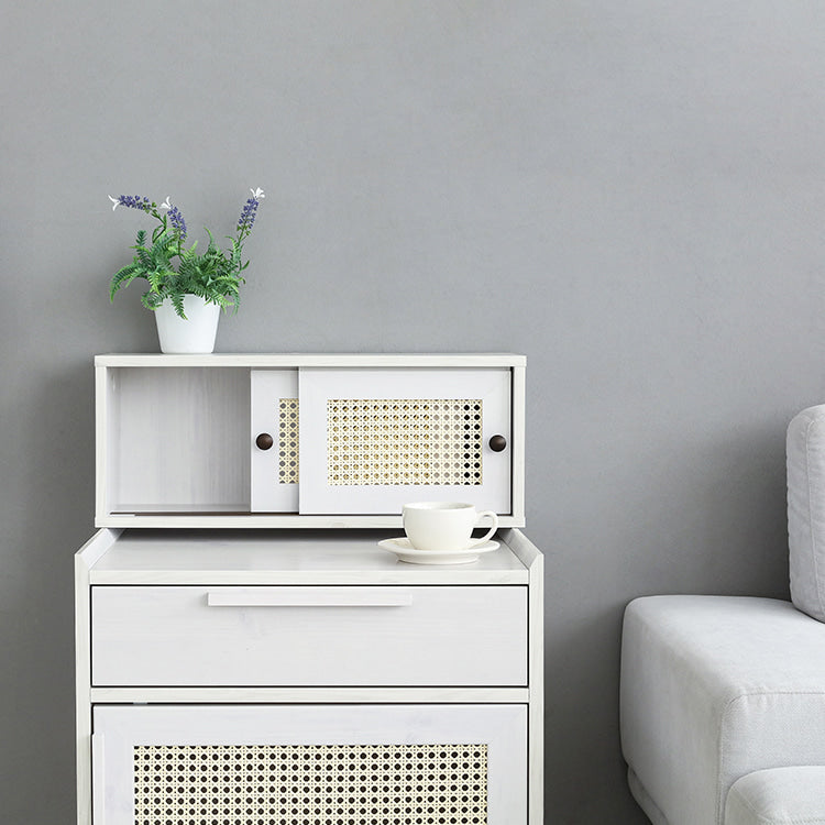 BENTAN ラタンミニ卓上収納|2ドア