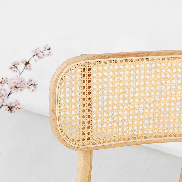 POLIM ラタンチェア|A型