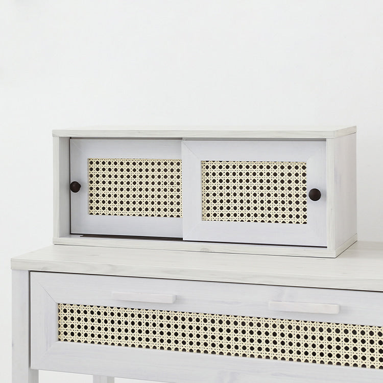 BENTAN ラタンミニ卓上収納|2ドア