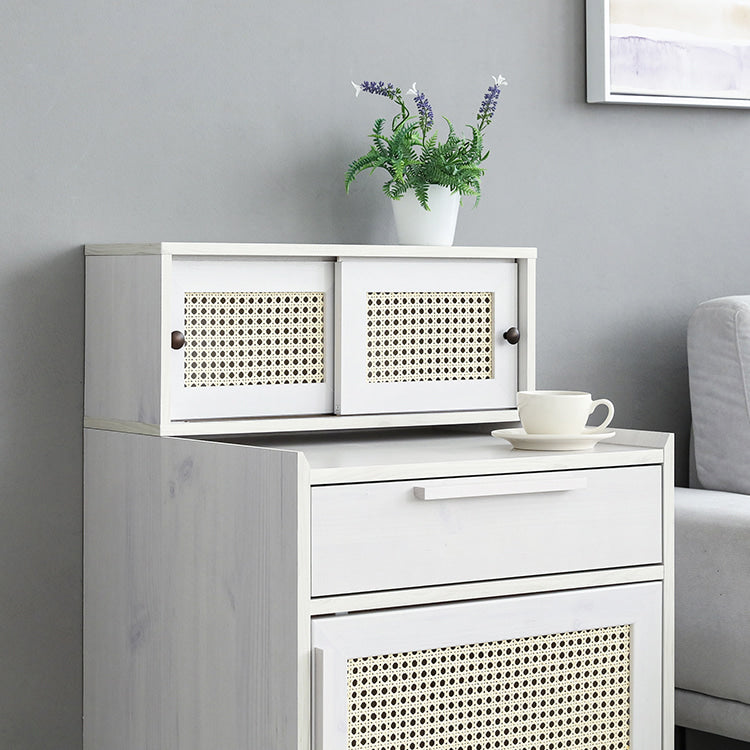 BENTAN ラタンミニ卓上収納|2ドア