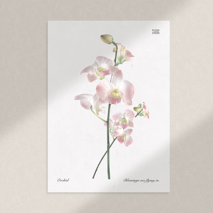 ninaroom ポスター｜Orchid vintage plant A3 Poster