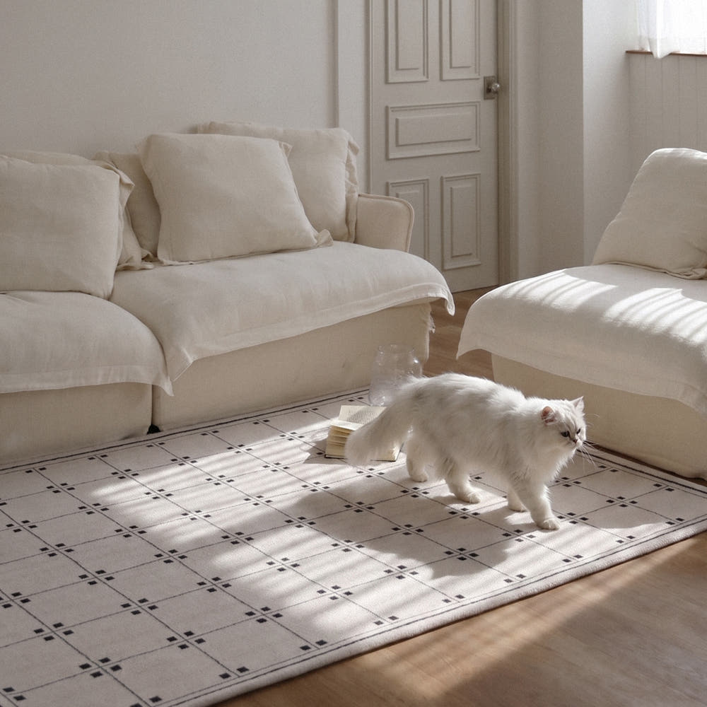 Rug Collection｜Spring Transition – 1acspaces